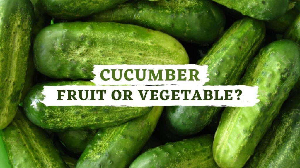 A cucumber is not a vegetable but a fruit