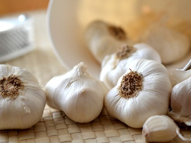 Garlic