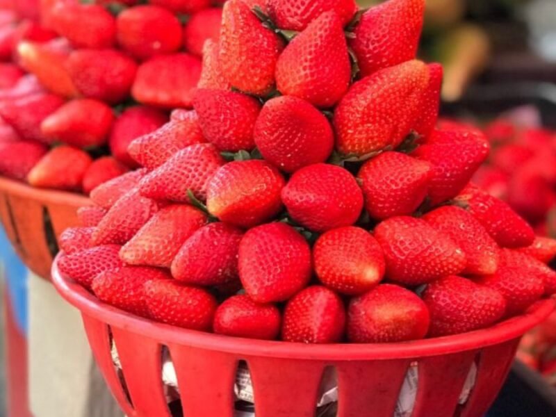 Strawberry Cream Panchgani