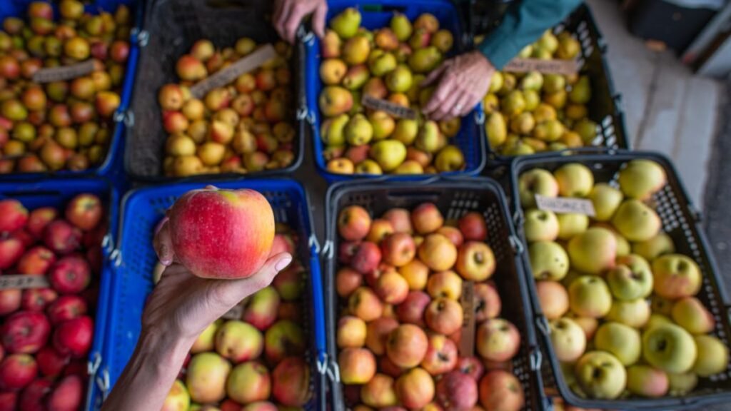 7500 Types Of Apples