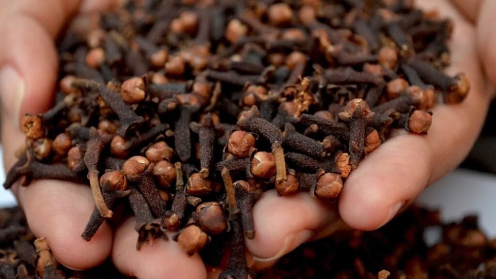 Cloves