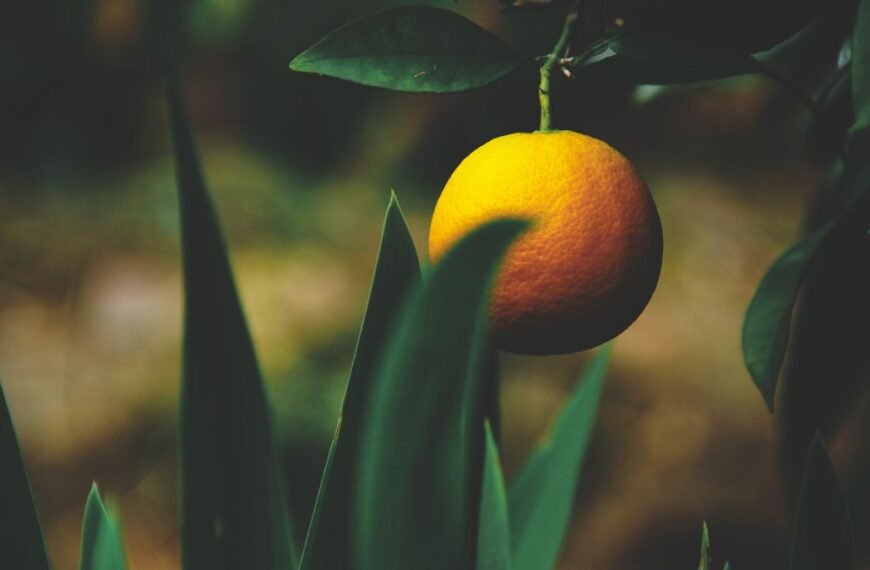 Foods to Eat in Winter for Better Skin Health